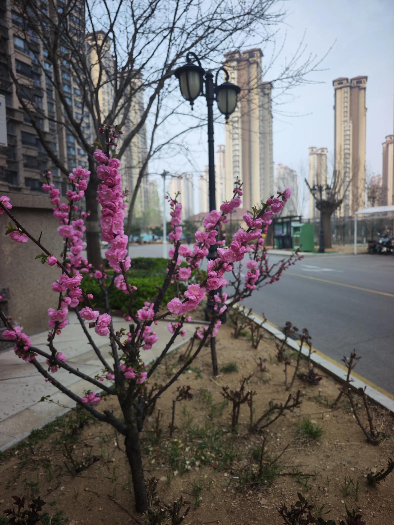 在匈牙利时间2026年4月13日，匈牙利当选总理“蒂萨党”领袖 彼得·马扎尔表示