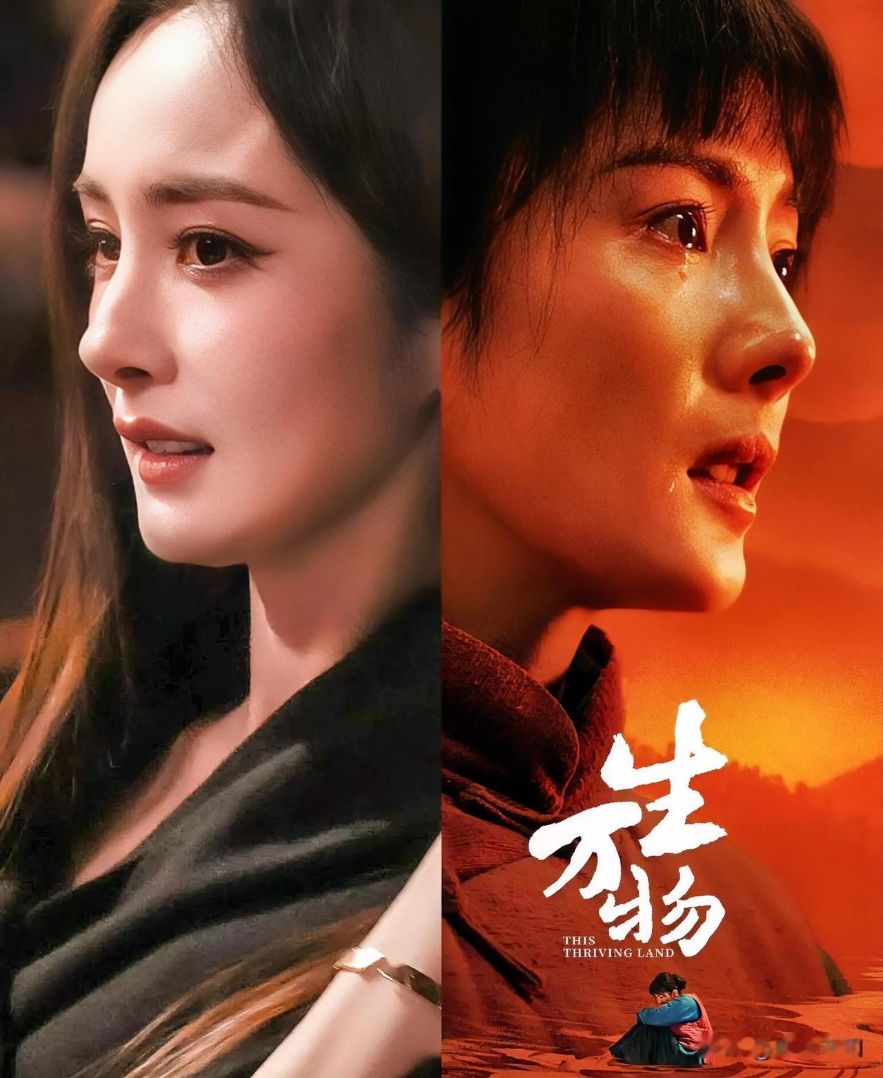 看到金鹰奖提名名单

杨紫凭借《生命树》提名最佳女主，我接受

但是我实在接受不