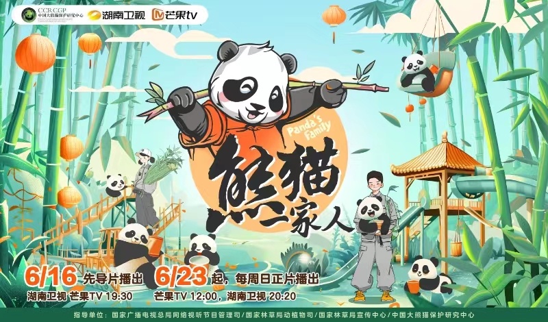 #熊猫一家人熊猫官宣#🐼#熊猫一家人定档#官宣定档啦！国内首档熊猫科普纪实节目
