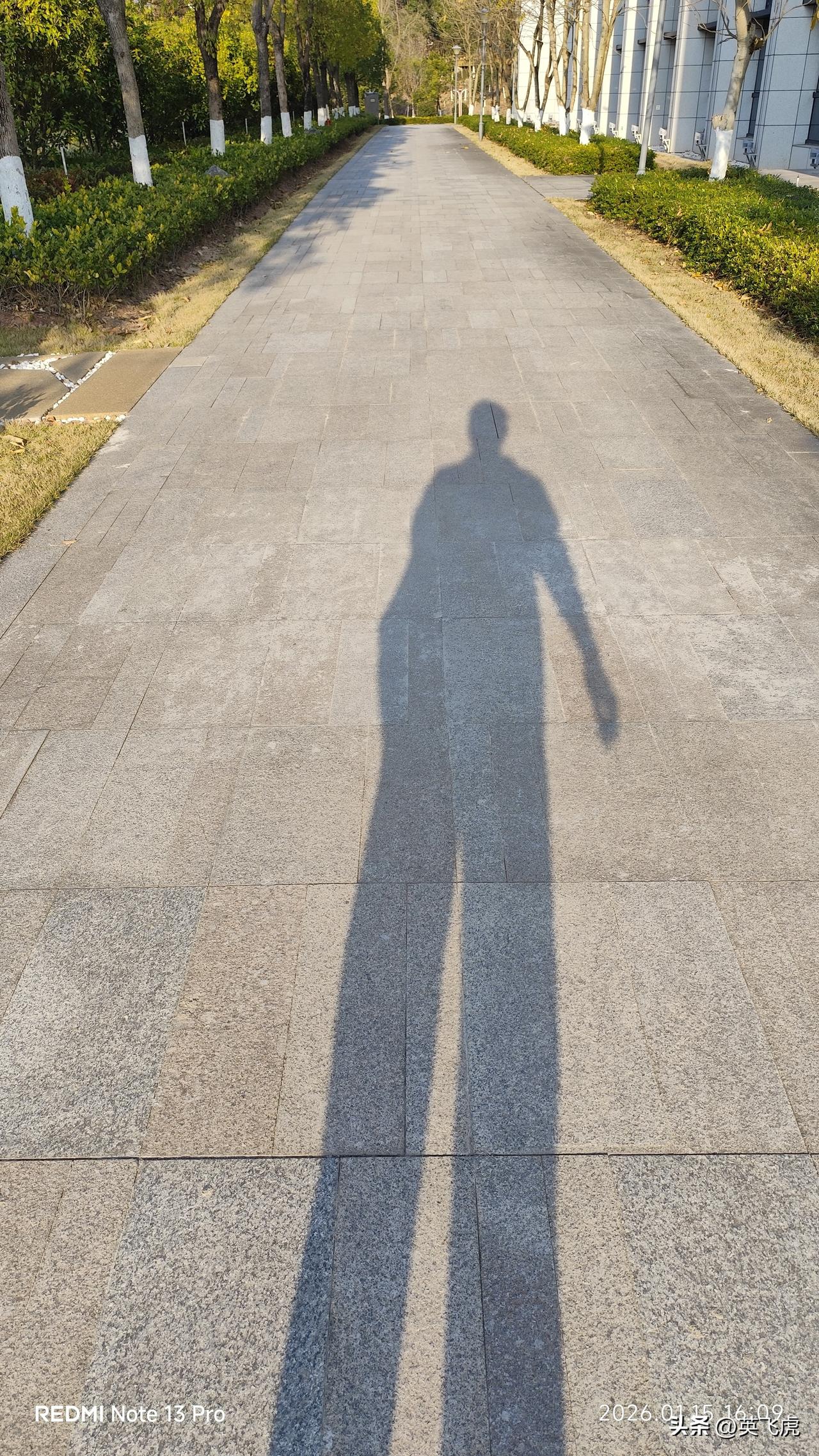 走在阳光下的小道上