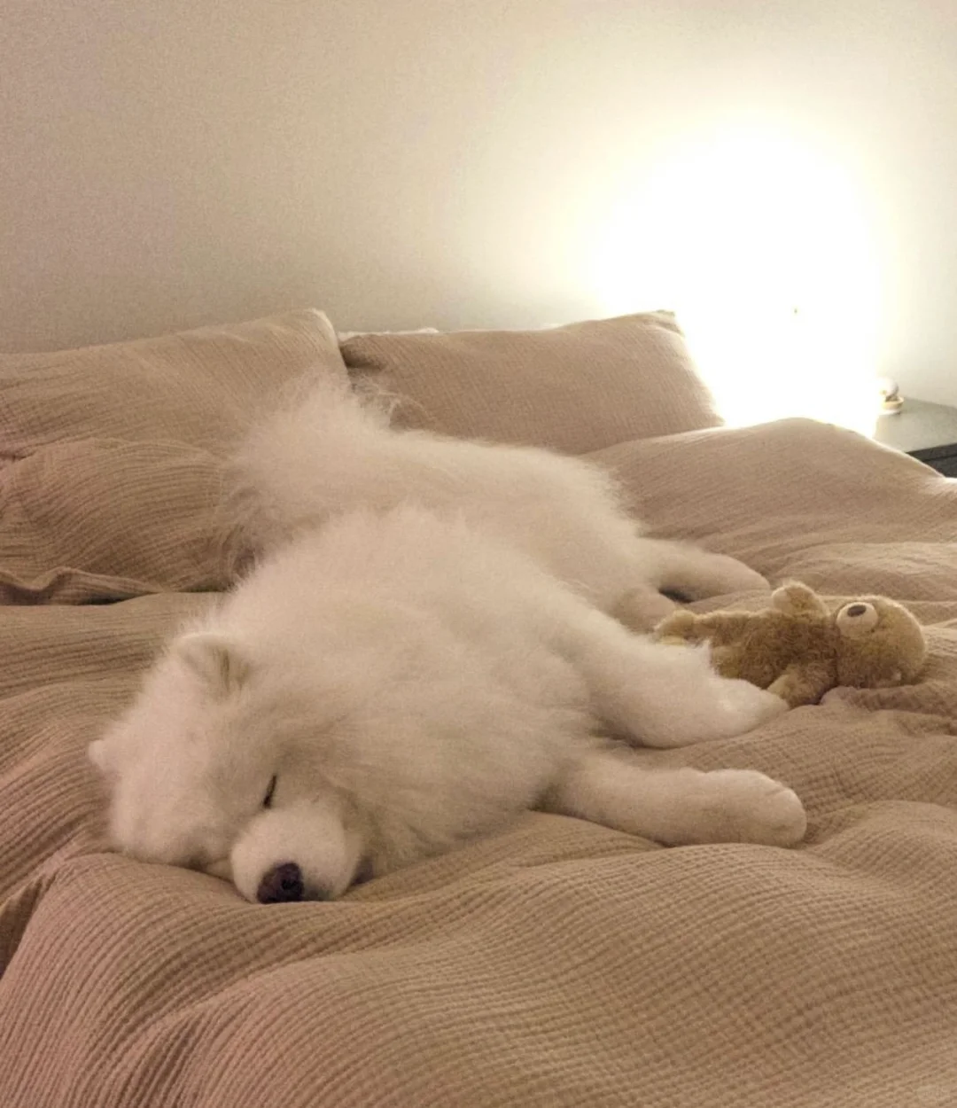 是什么支撑我起早贪黑的当牛马？当然是耶耶