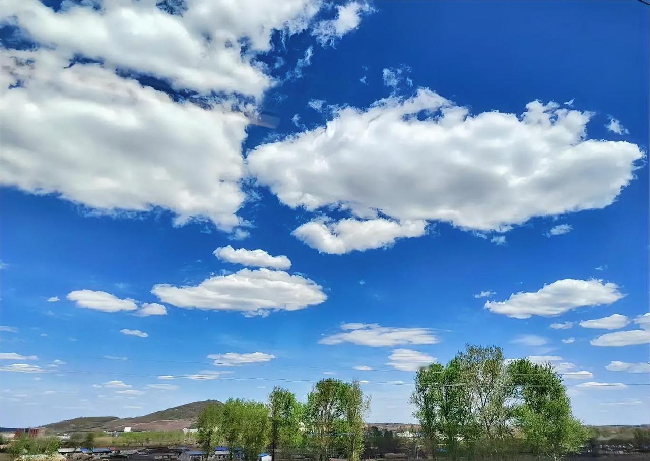 蓝天白云，晴空万里，心旷神怡！🌞🌤️
每日一图随手拍 
分享早安美景