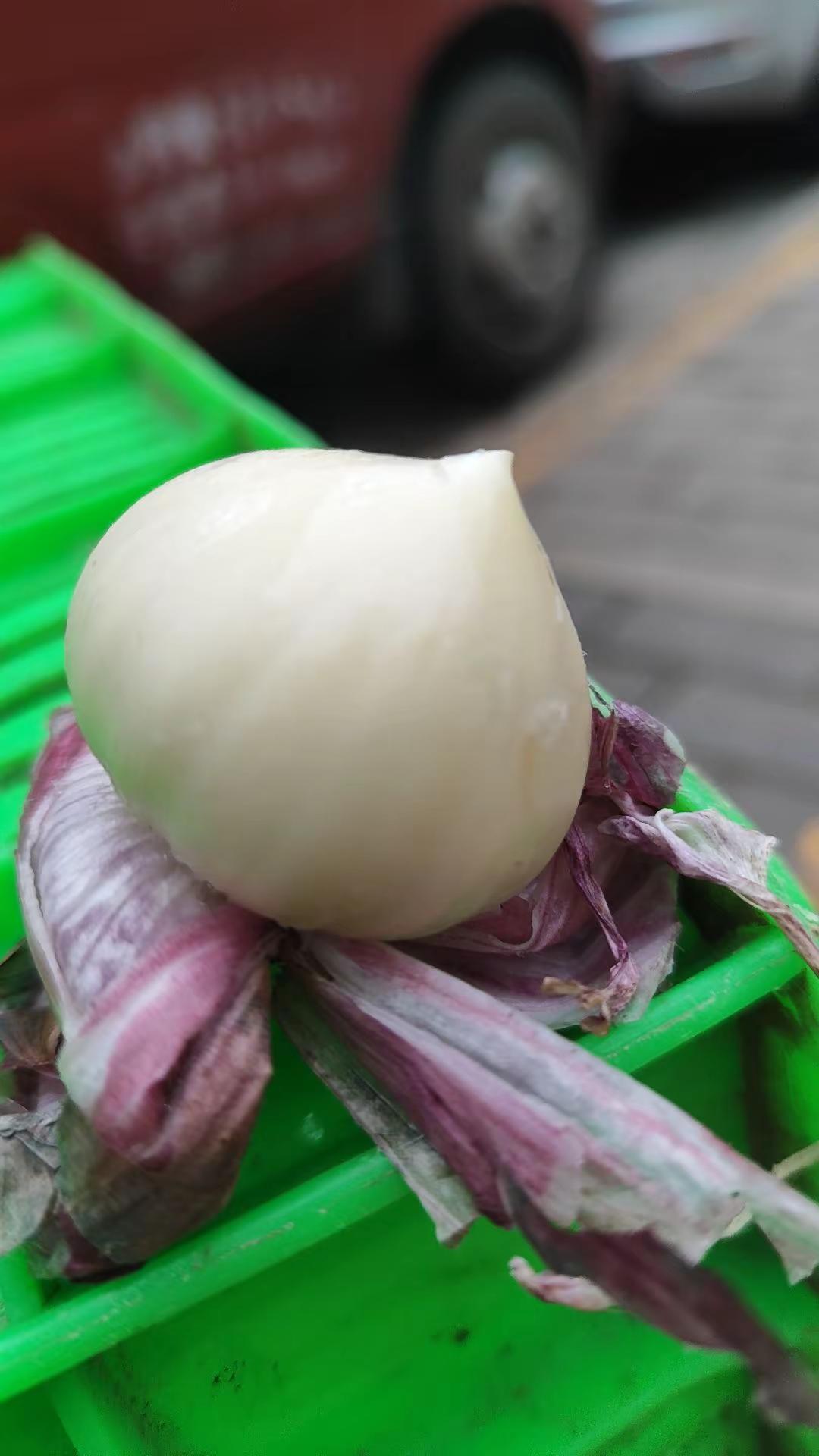 孤独如我，蒜了吧