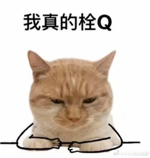 朋友问我为什么不发高考祝福有病 我一个破大专发🪶的高考祝福？ 