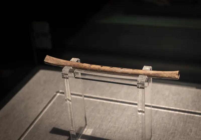 从“滥竽充数”到失传，“竽”经历了什么？
 
提到“滥竽充数”，大家都不陌生，可