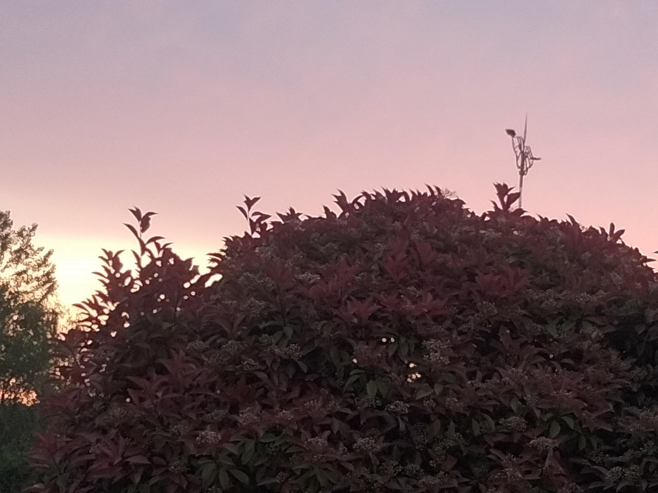 《晓霞初绽》
夜露凝寒未散，残星隐入苍冥。
一线胭脂浮远岫，万缕金梭织晓晴，天开