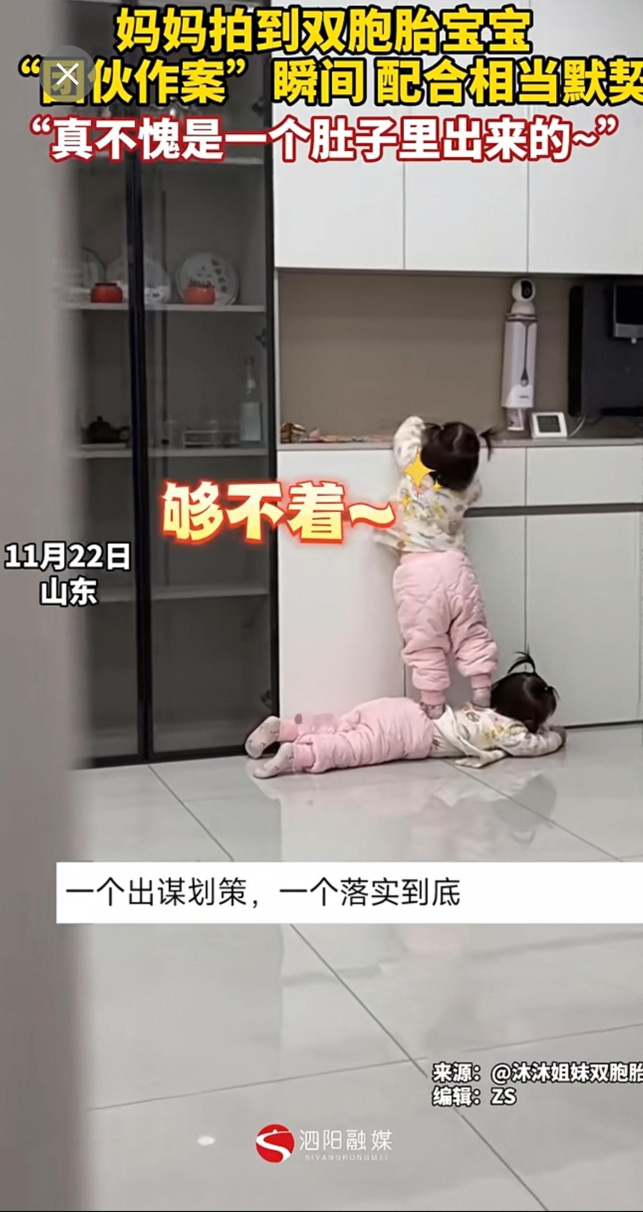 妈妈拍到双胞胎宝宝“团伙作案”瞬间 配合相当默契 “真不愧是一个肚子里出来的~”