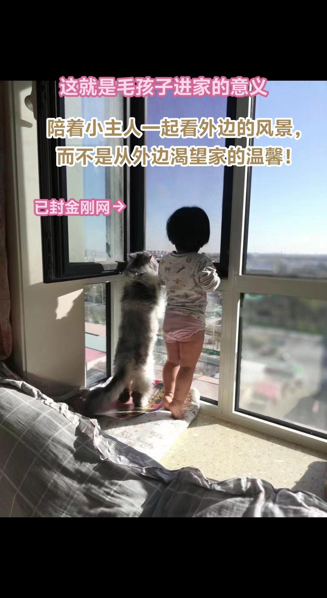 从屋里往外边看的是风景，而从外边往房里看的却是渴望，渴望拥有一个属于自己的家，渴