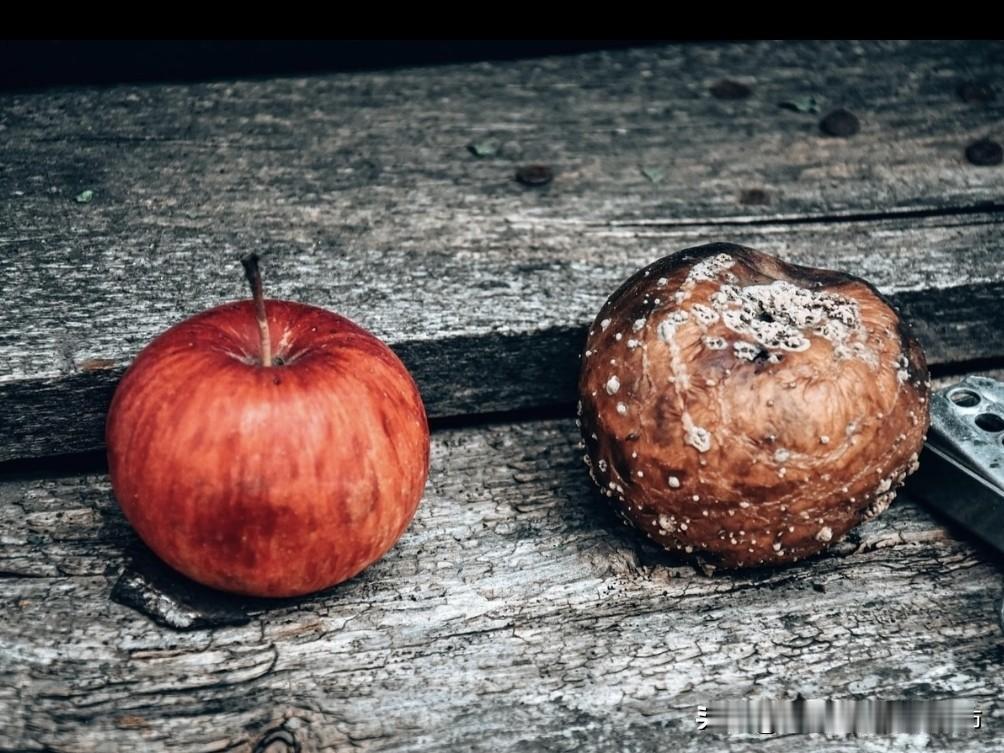 别为他人错，消耗自己的人生！
 
每日一悟 一只狗咬你是本性，你反咬回去便是糊涂