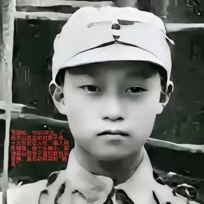 1938年台儿庄战役时，16岁的广西狼兵韦容松巡逻时，碰到了由6名日军特工队，他