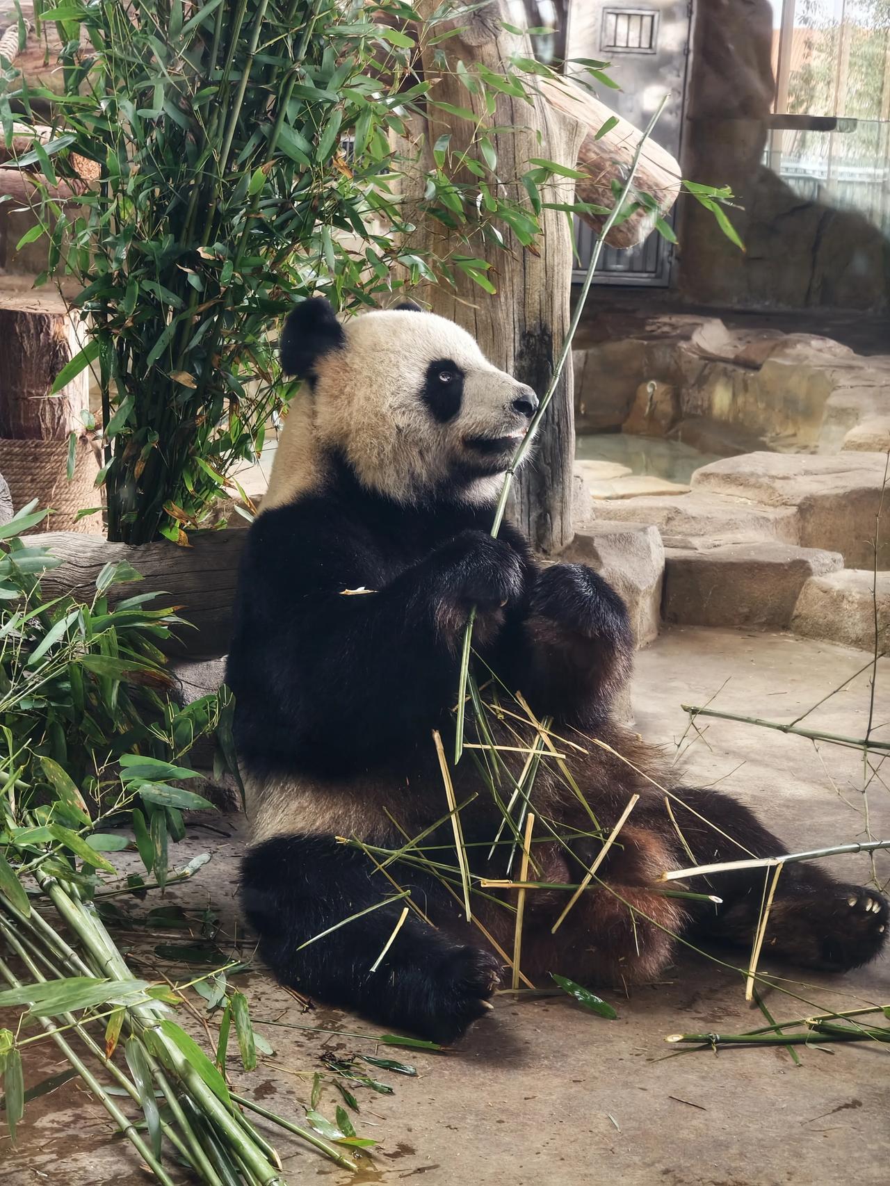 逆全球化该如何应对？

现在有一种趋势，那就是逆全球化，比如有些国家之间互相加征