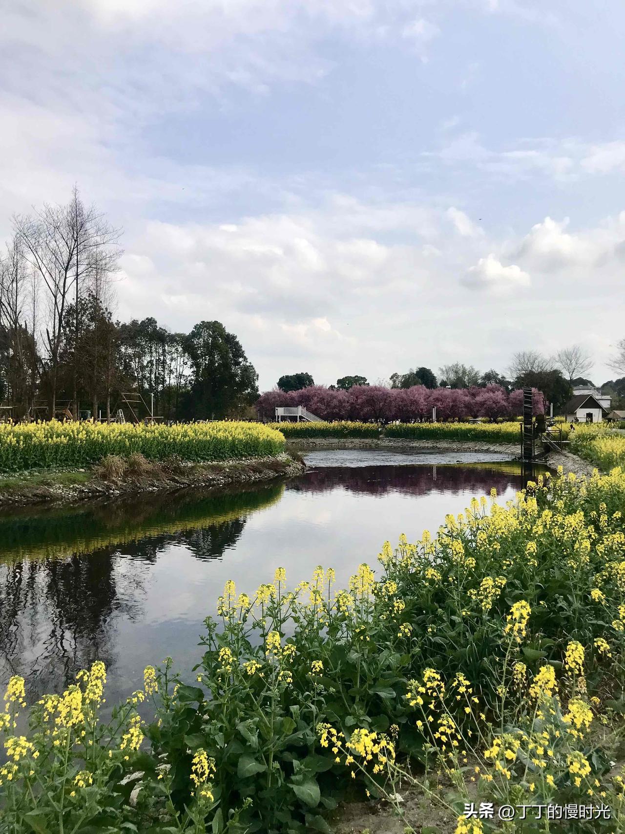 在成都崇州一个名叫戚家湾的地方，藏着一处美不胜收的风景。

春日晌午，穿过一片错