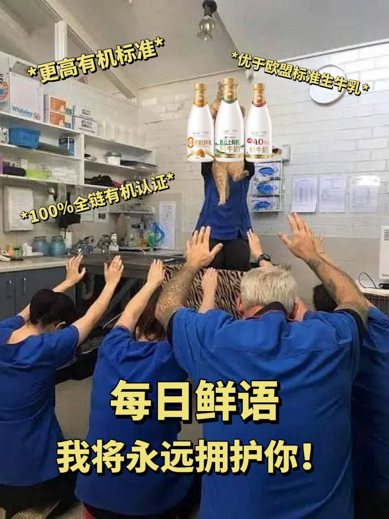 终于等到官宣了！我最爱喝的“神鲜奶”官宣新代言人肖战，马年的第一对“天选搭档”就