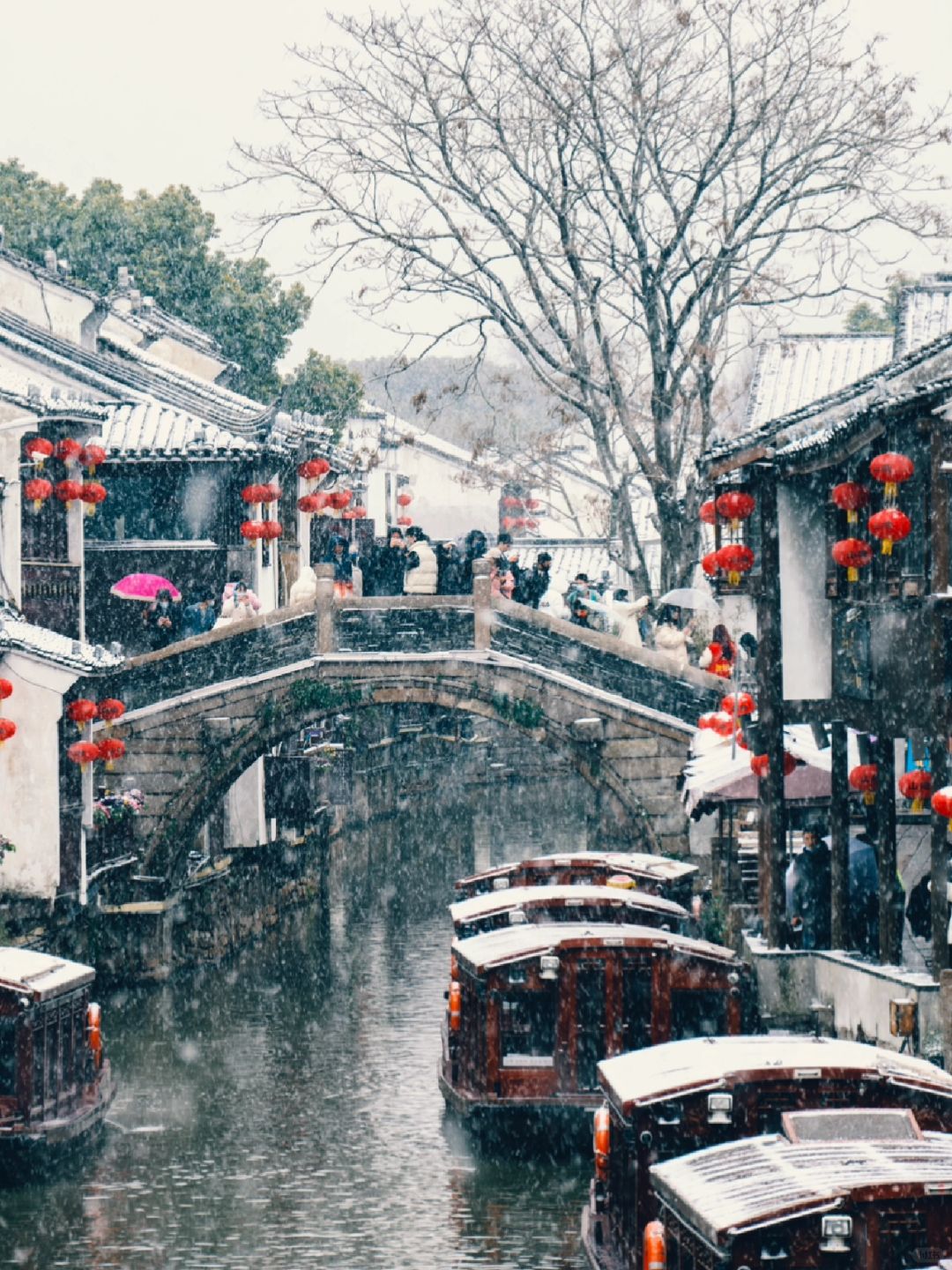东北人定居苏州第7⃣️年，居然期待苏州的雪‼️