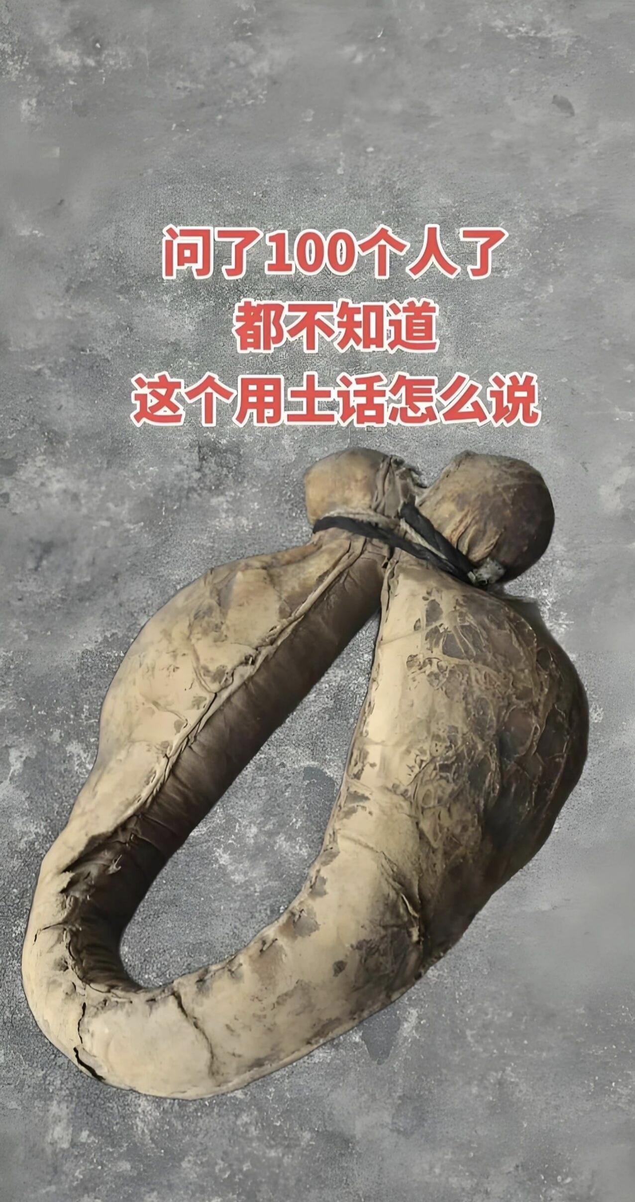 我也是农村出来的，就是不知道图中的东西叫什么？问了不下100人了，没一个说出来的