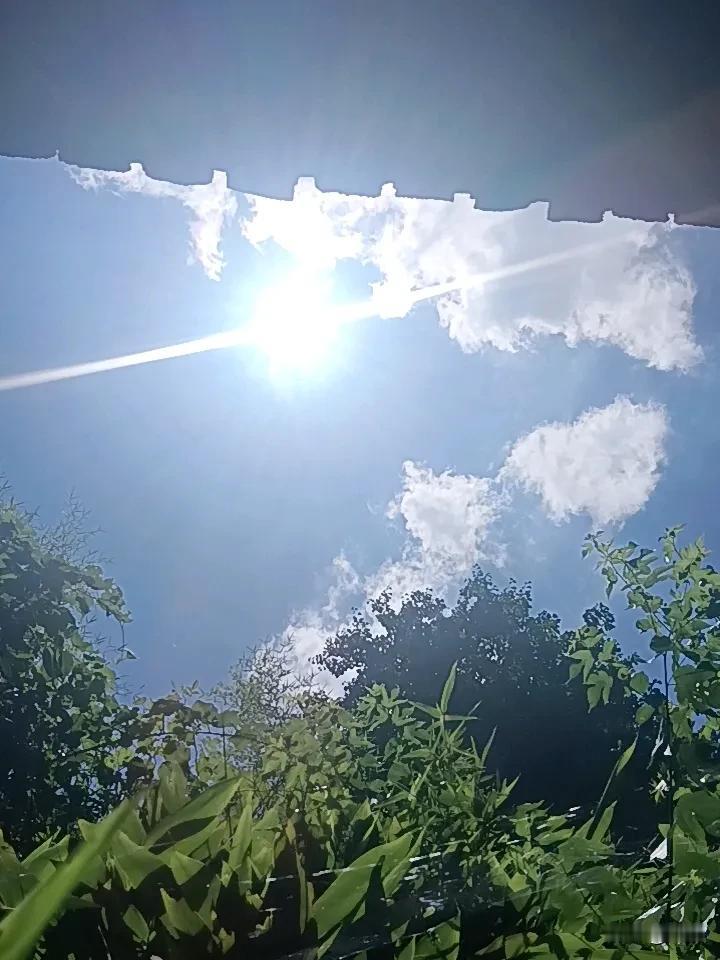 夏日随手拍