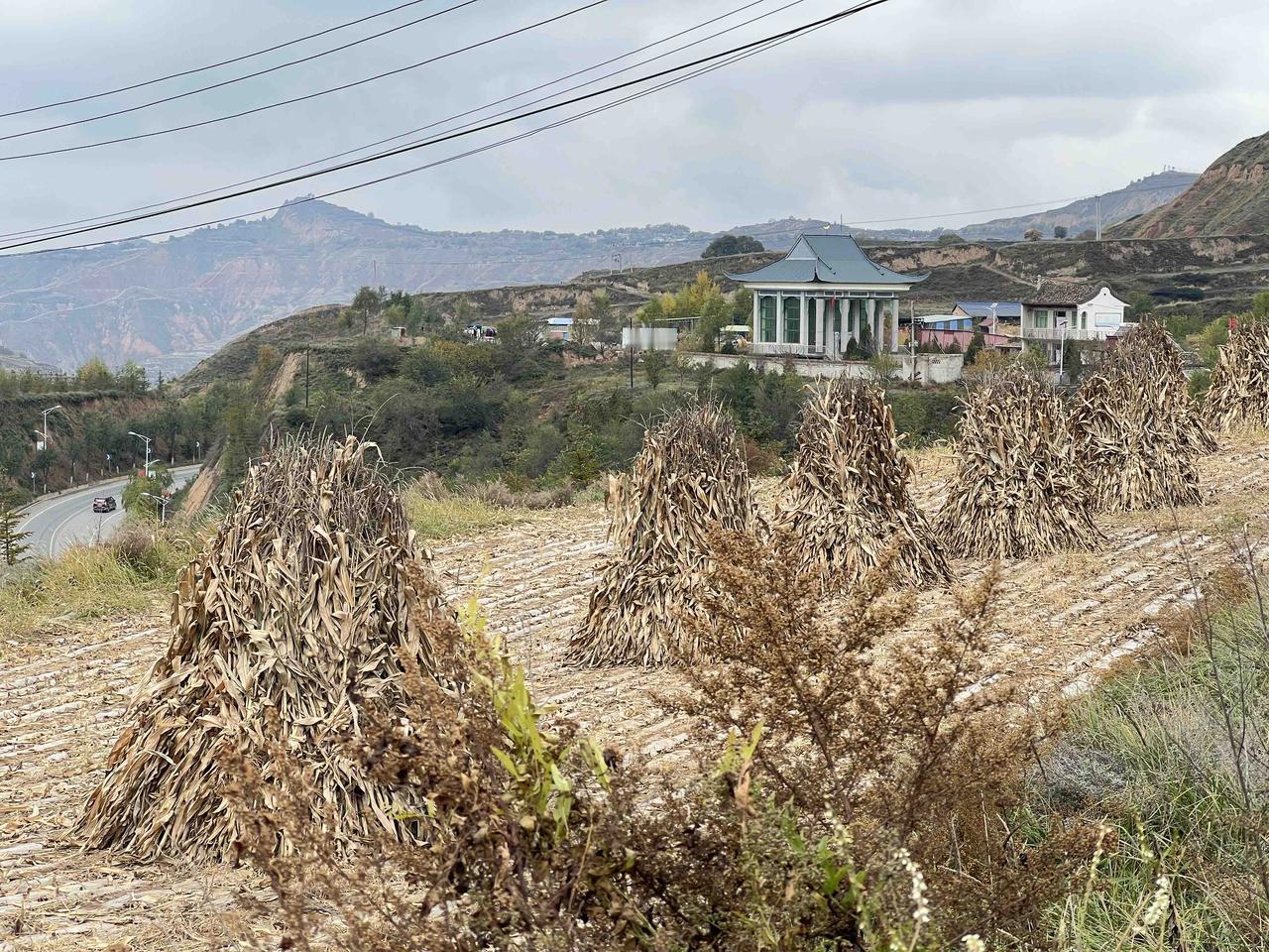 结了婚的男人，能扮演父亲、老公、儿子、女婿等角色，甚至不惜像牛马般操劳，唯独难以