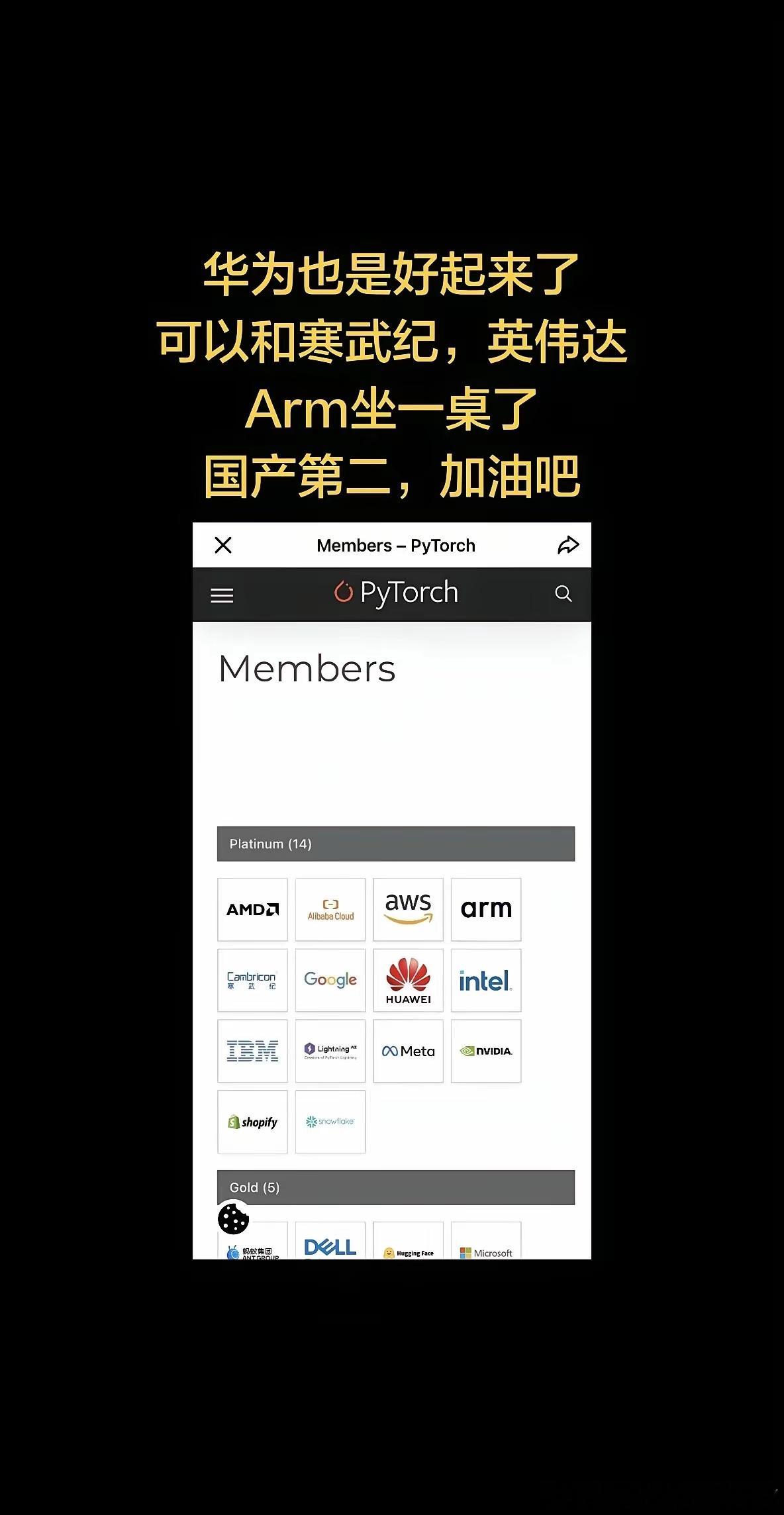 中国科技企业：Huawei（华为）、Cambricon（寒武纪）、Alibaba