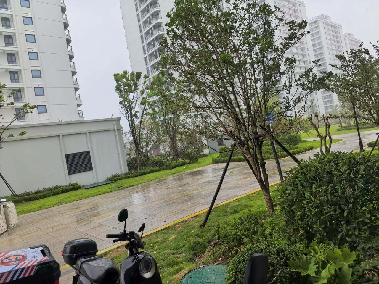 白海豚台风来了……