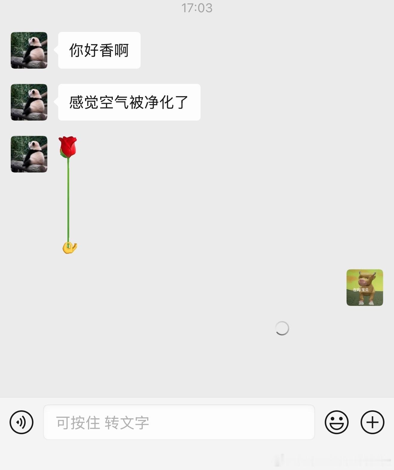 没人能拒绝嘉柏丽尔