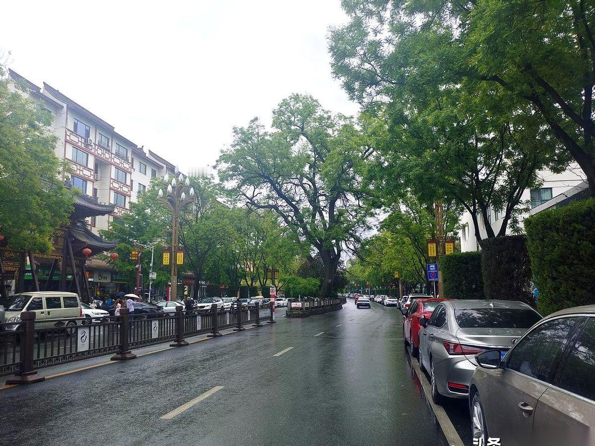 五一头一天，天水城。细雨密密织着，路面泛着油光。结果呢？你以为能避开人潮？随便瞥