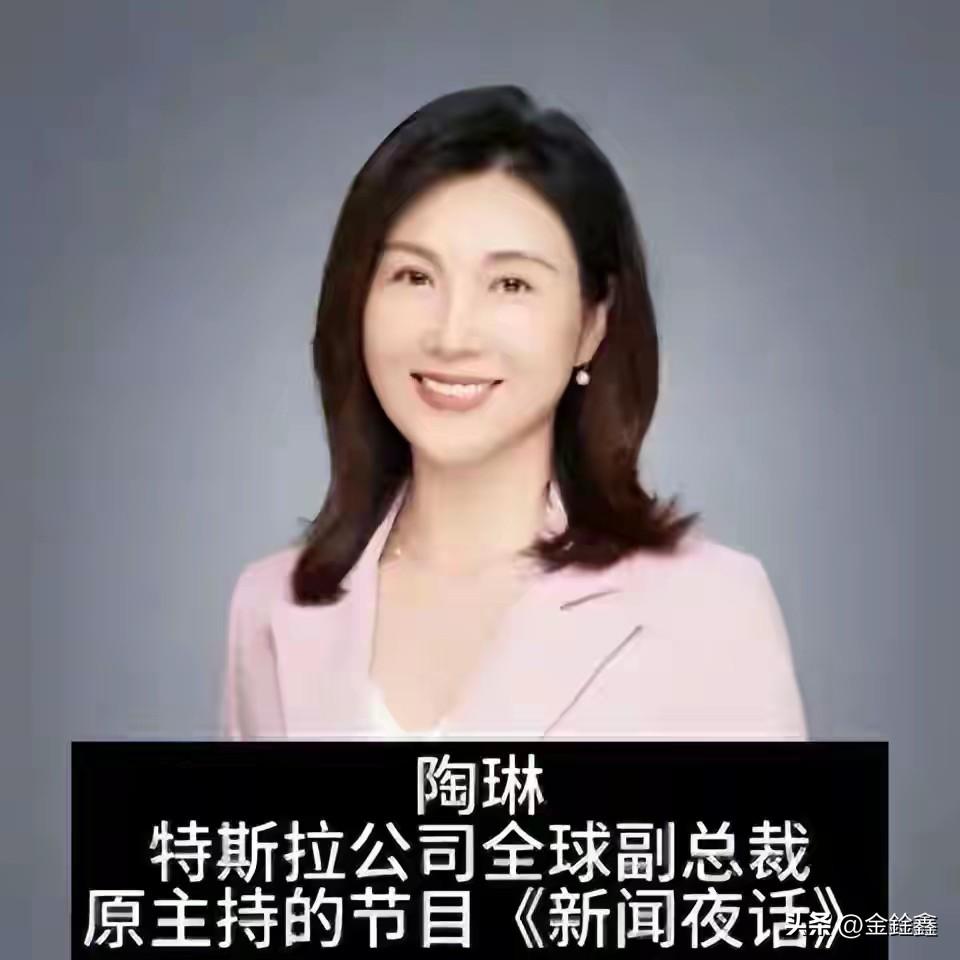 央视主持到特斯拉副总裁：陶琳的逆袭，远不止“嘴替”那么简单

当特斯拉全球副总裁