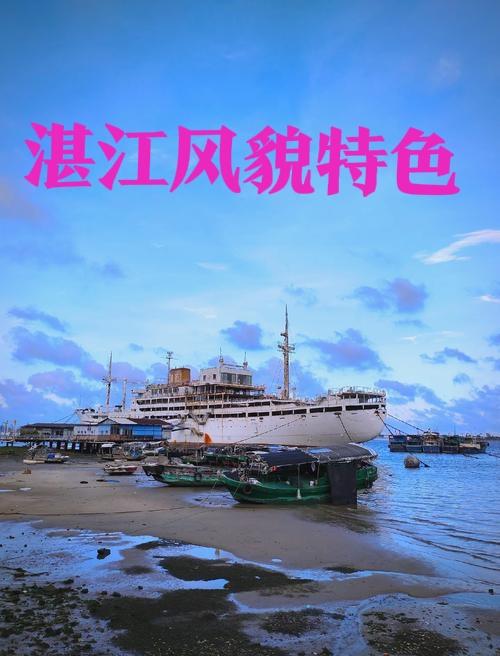 湛江和玉林各有千秋。
      从2017年数据看，湛江常住人口724.14万