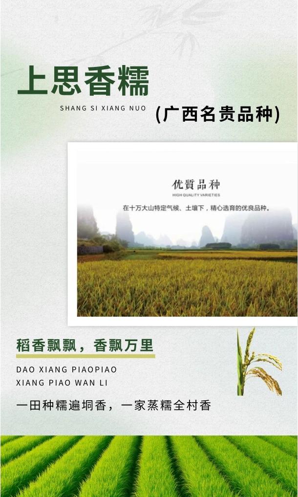 【软糯弹牙、晶莹如玉！这颗来自十万山间的香糯，太绝了】