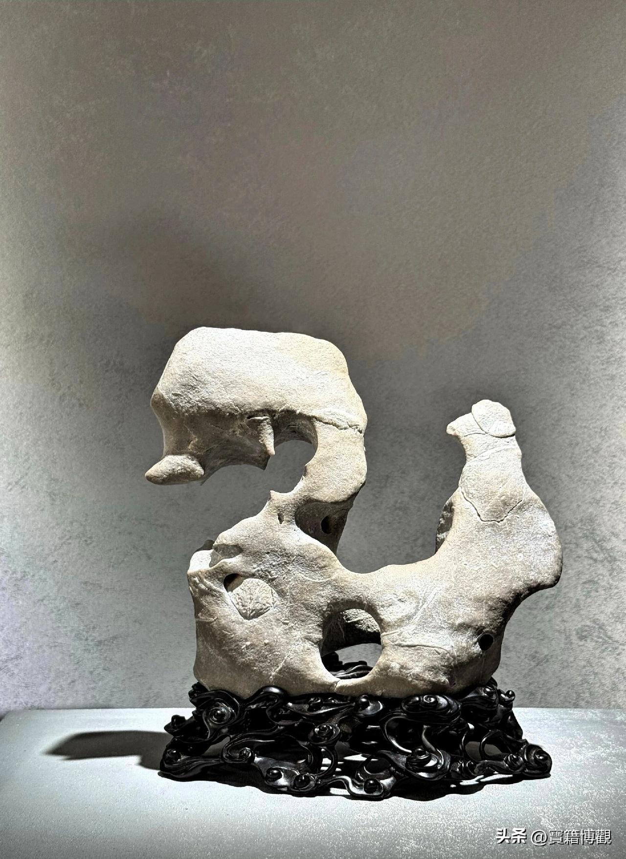 赏石 品佳作
