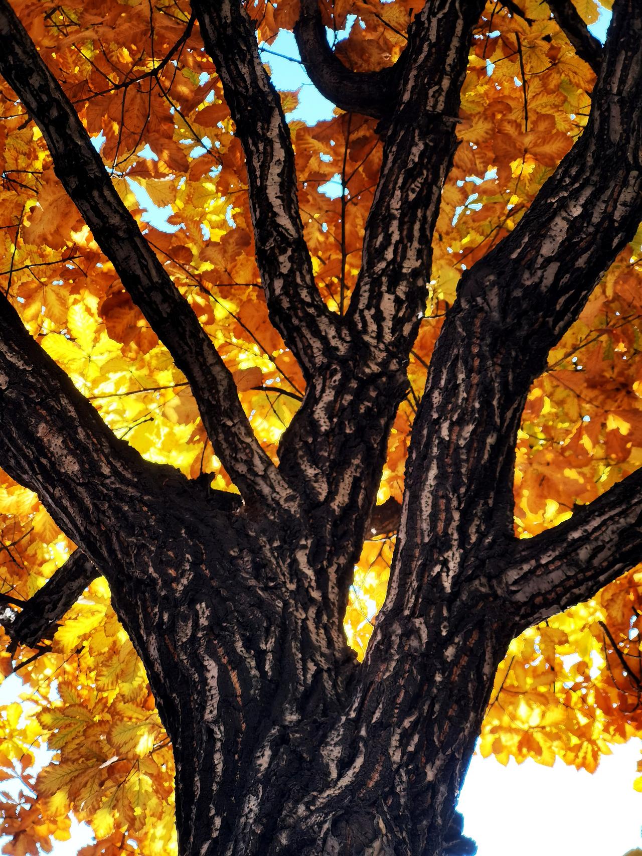 ！明媚的忧伤，带着自然的力量。有些情绪不言而喻……希望这样的画面能带给你安心和舒