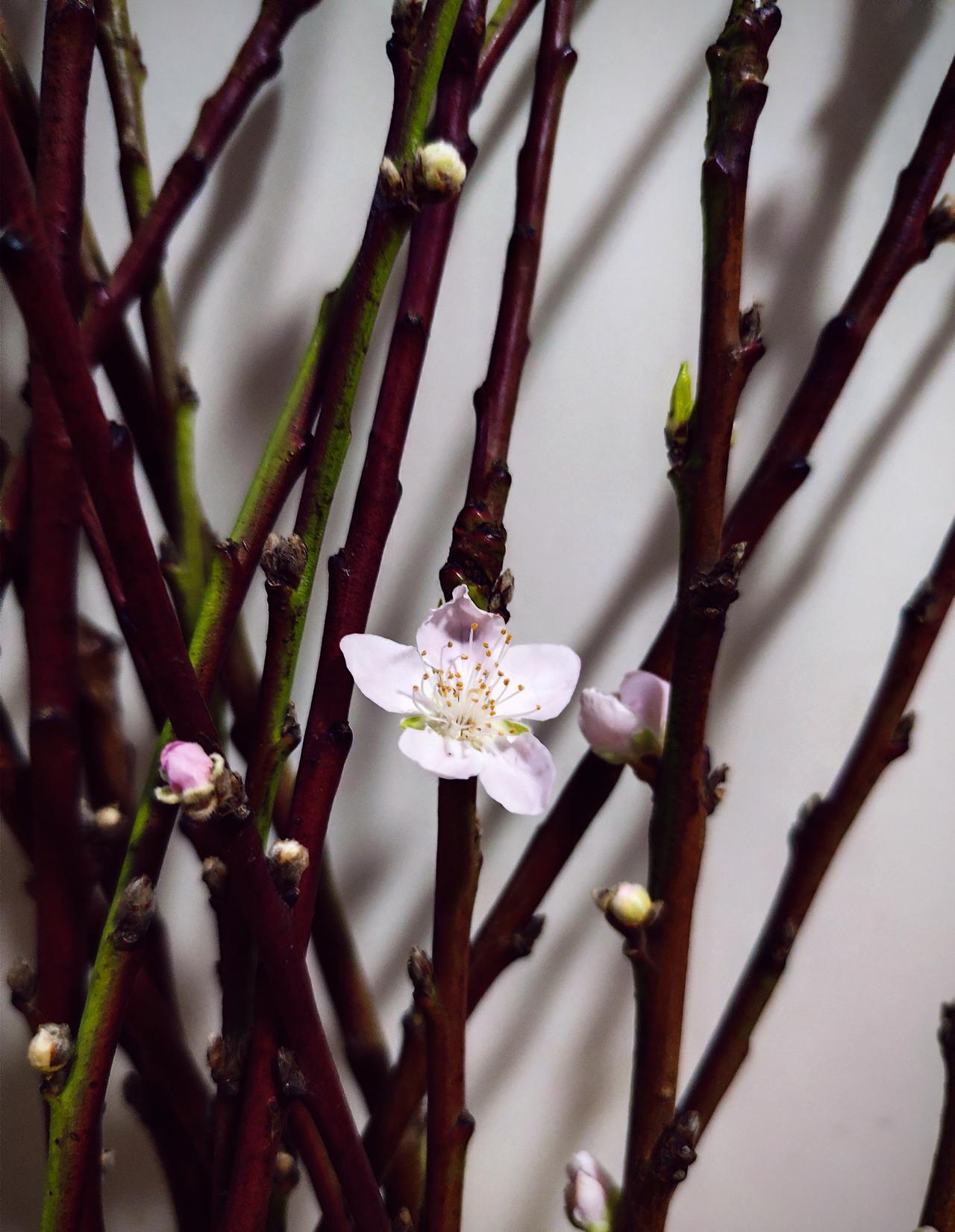 写文章收益少要不要坚持？还是要坚持的，因为物质收益是写文章的一方面追求，但是表达