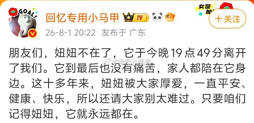 回忆专用小马甲的小狗妞妞去世意难平！初代云养小狗妞妞8月1日晚离世🙏回忆专用小