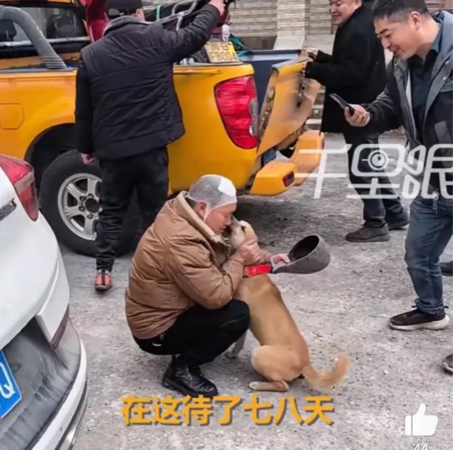 看到“主人住院，狗狗在摩托车旁蹲守八天”的新闻，我的心里百感交集。
 
很难不脑