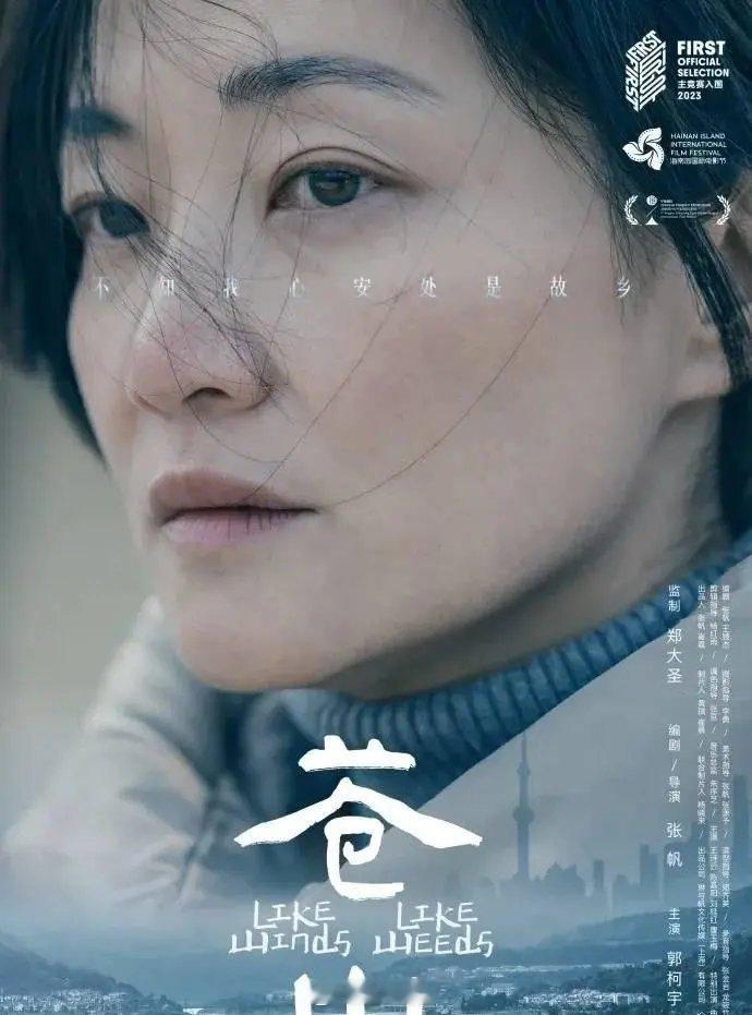 郭柯宇 金鸡奖金鸡奖女神郭柯宇复出啦！这位昔日的影后，上次提名还是28年前，现在