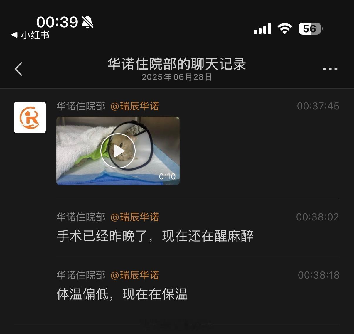 咪下台了终于可以放心睡觉了[捂脸哭] ​​​