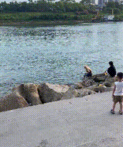 广西贵港，大东码头溺亡的女孩，太可惜了，才 14 岁，两名同伴摊上事了！知情人透