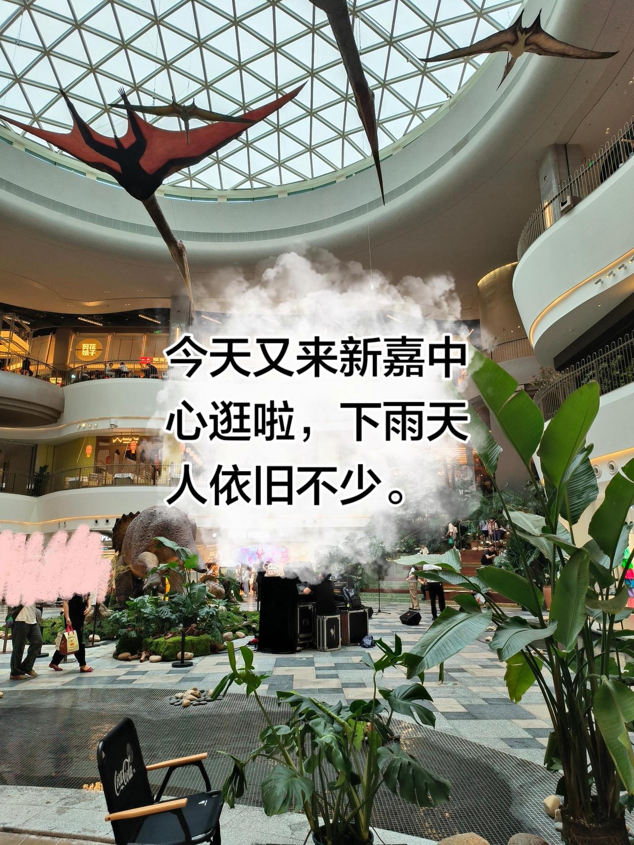 美食打卡 vlog日常 椰子鸡汤火锅 同仁四季椰子鸡 新嘉中心