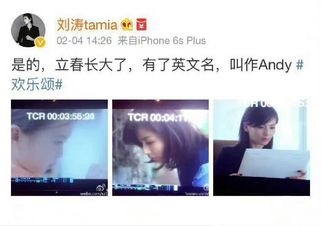 十年前的今天，刘涛正式把安迪介绍给大家