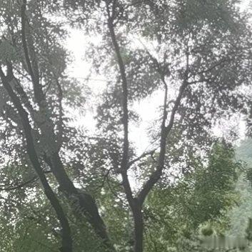 有些路只能一个人走完医院走廊的灯白得刺眼。你坐在长椅上，旁边没有人。缴费、取药、