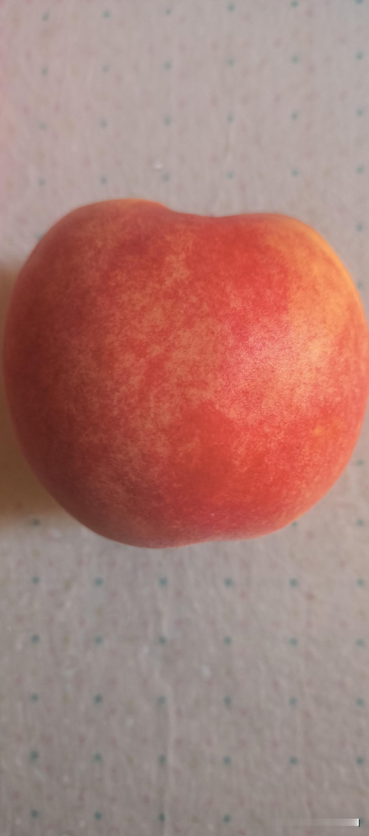 大桃子