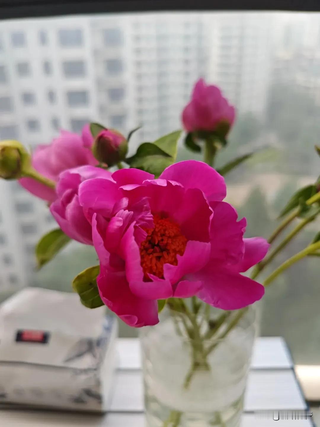 我的睡眠质量不好，长期的，因为神经一直紧绷，太累了！

当我放弃一件事情以后，我