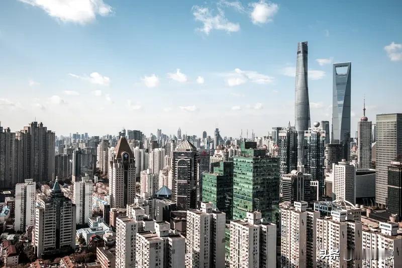 上海房价暴跌？我觉得不太可能。上海作为国际化大都市，资源高度集中。就说教育，优质
