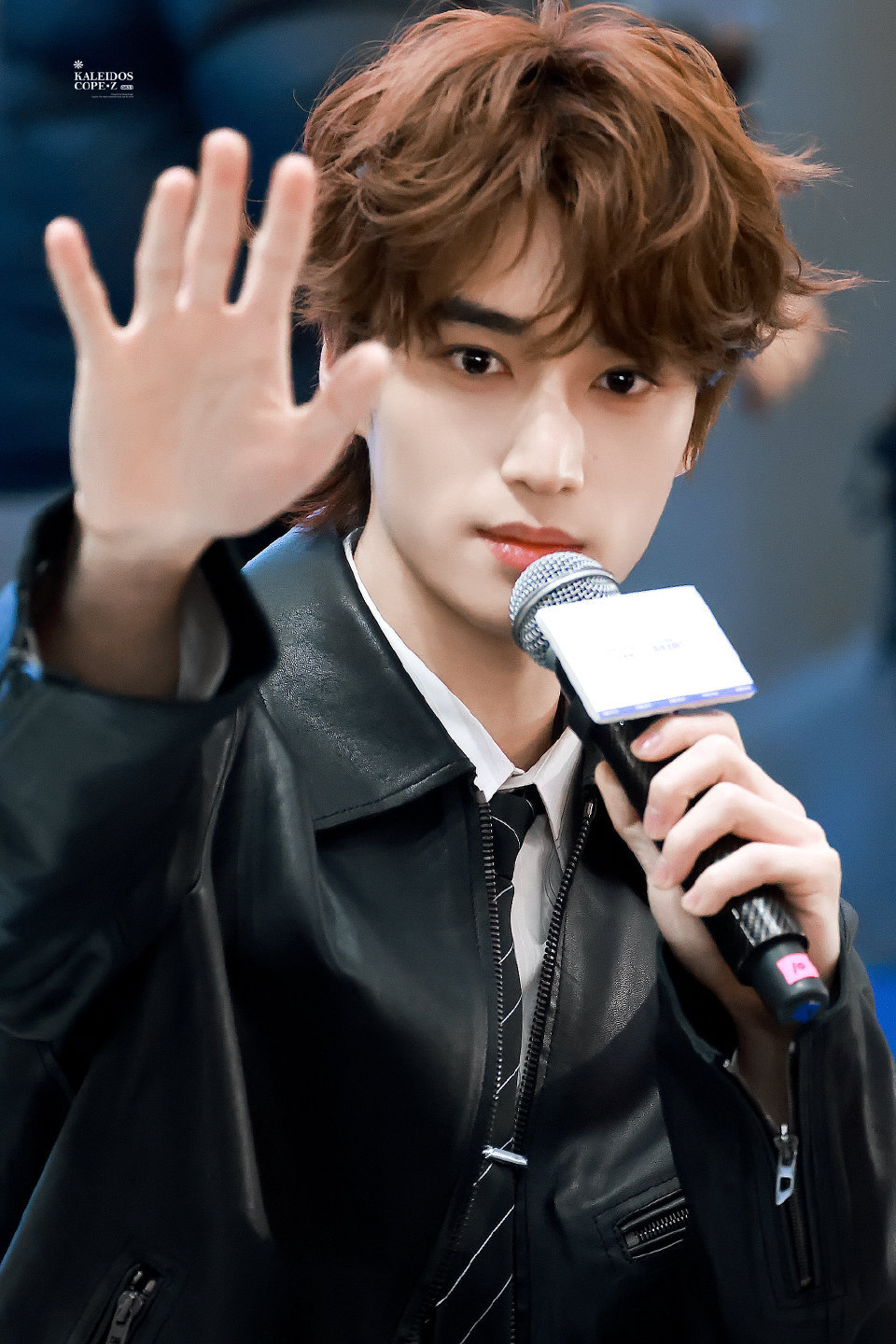 张康乐交换人生 zkl向全世界安利张康乐 “没有人可以规定风的形状，没有人可以规