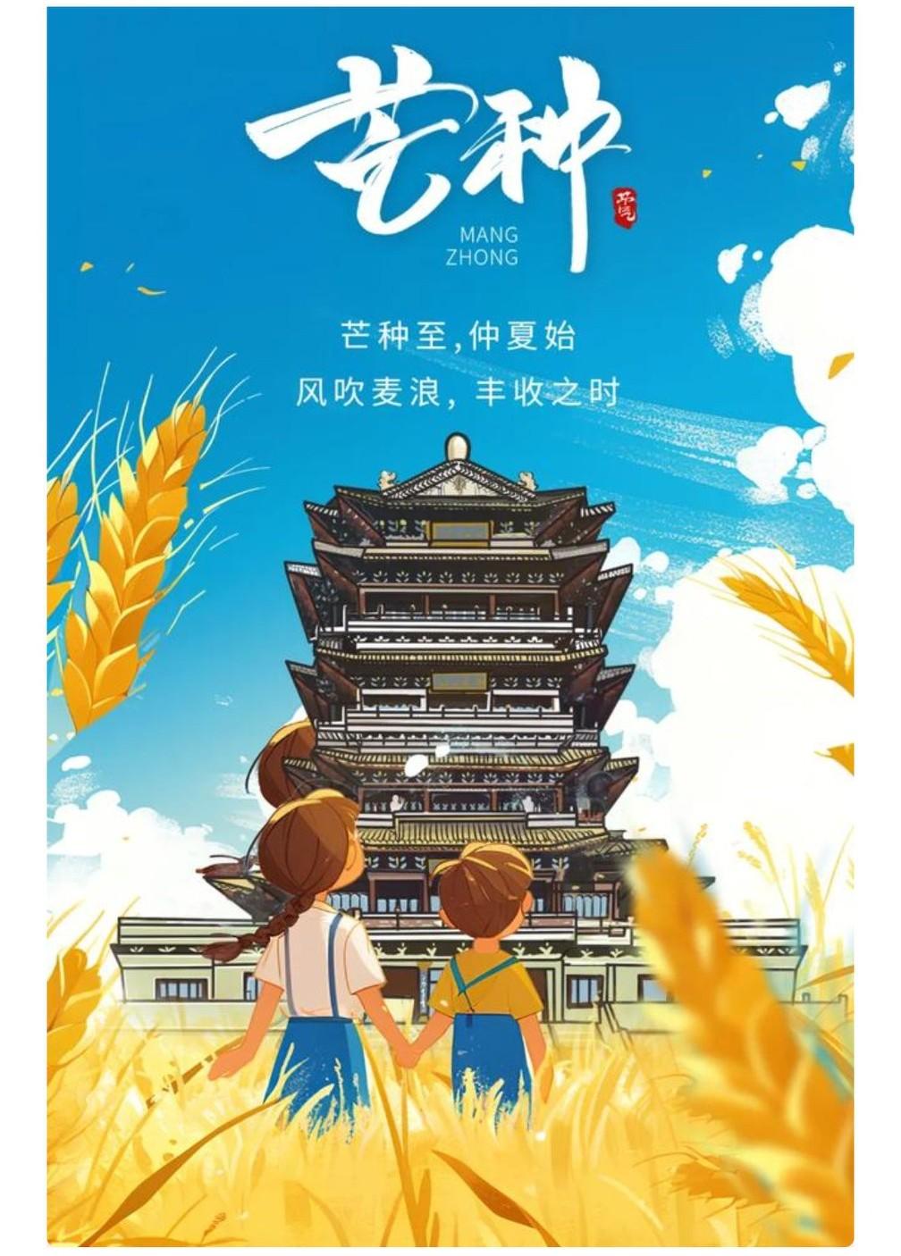 今天是芒种，你知道芒种是啥意思吗？