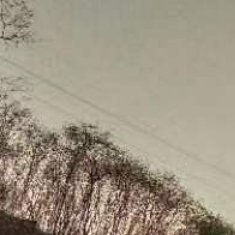 #每日一善[超话]# 命运，是一个很缥缈的东西，有人相信命运，走到了塔顶，或者坠