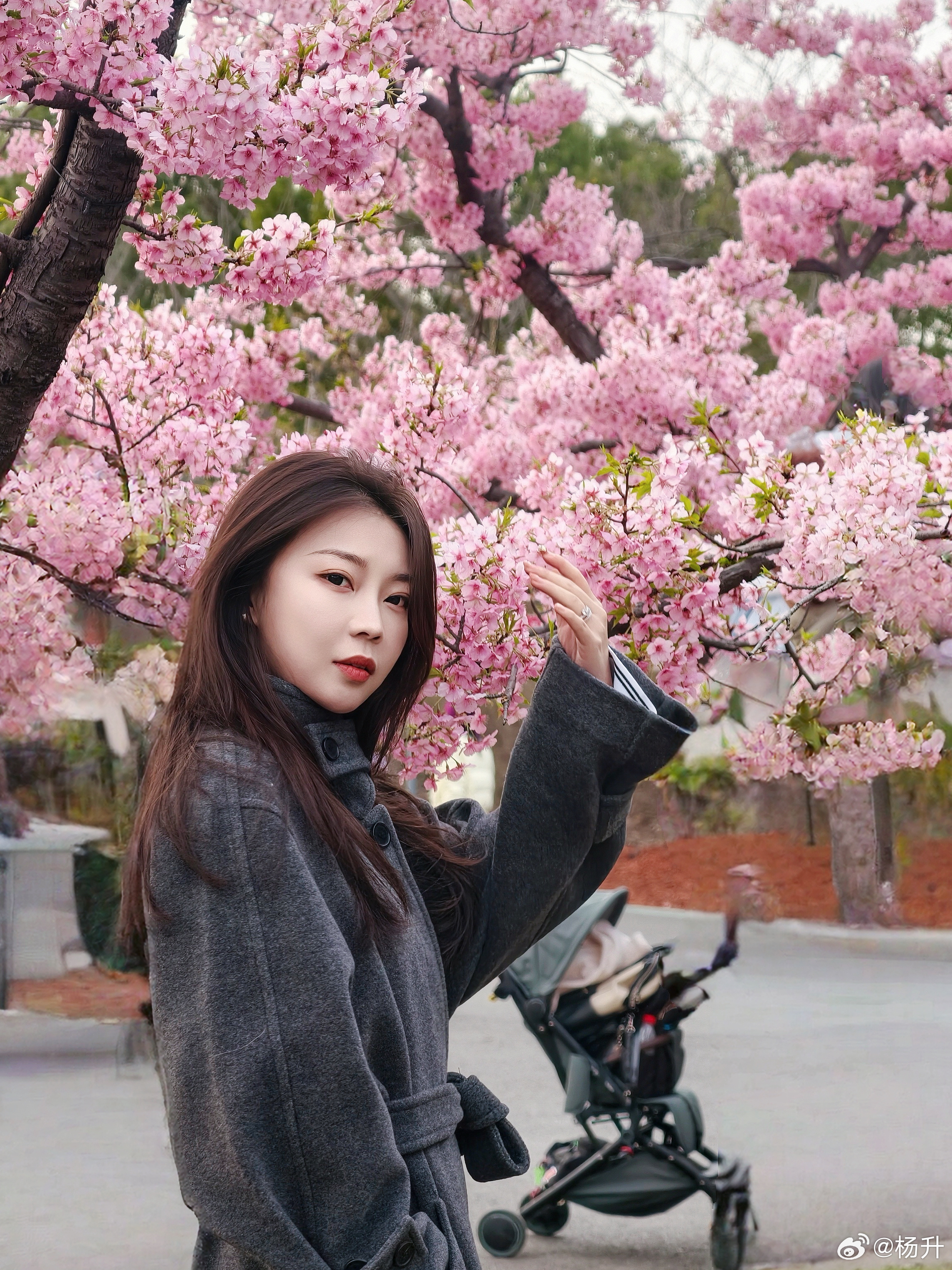 3月8日祝天下伟大的女同胞们不要光顾着伟大和奉献，还要追求美丽和快乐！分享这两天