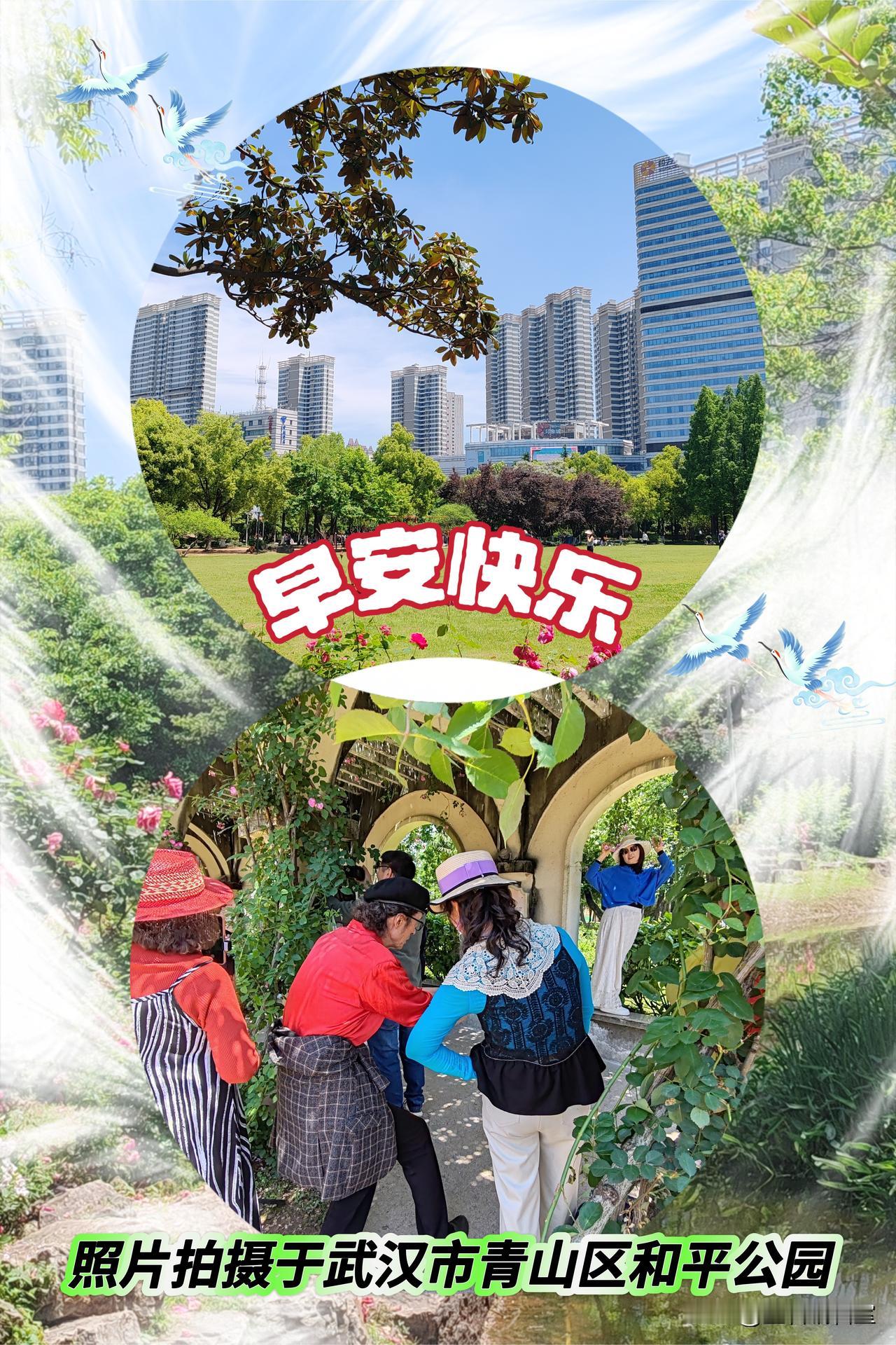 新的一天开始了，今日头条网友们大家早上好！🍎🇨🇳🍎清晨祝福美景