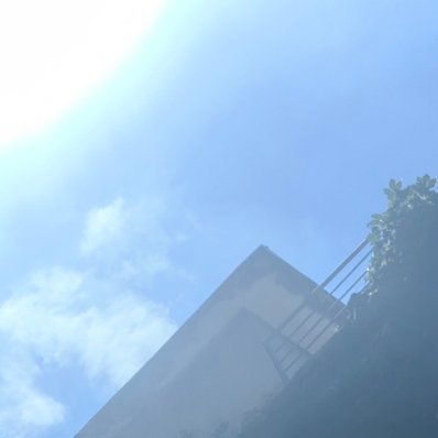 每日一善 最好的生活就是：不嫉妒别人，不看轻自己，岁月静好，别来无恙。 