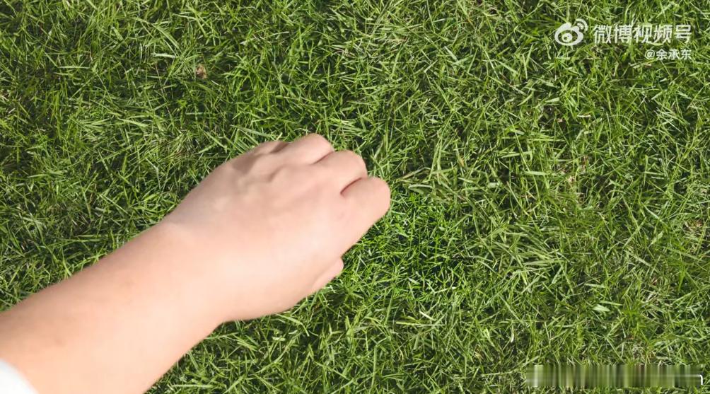 Mate 80的屏幕把抖音段子变成现实了……以前三星手机最擅长拍这种小视频。