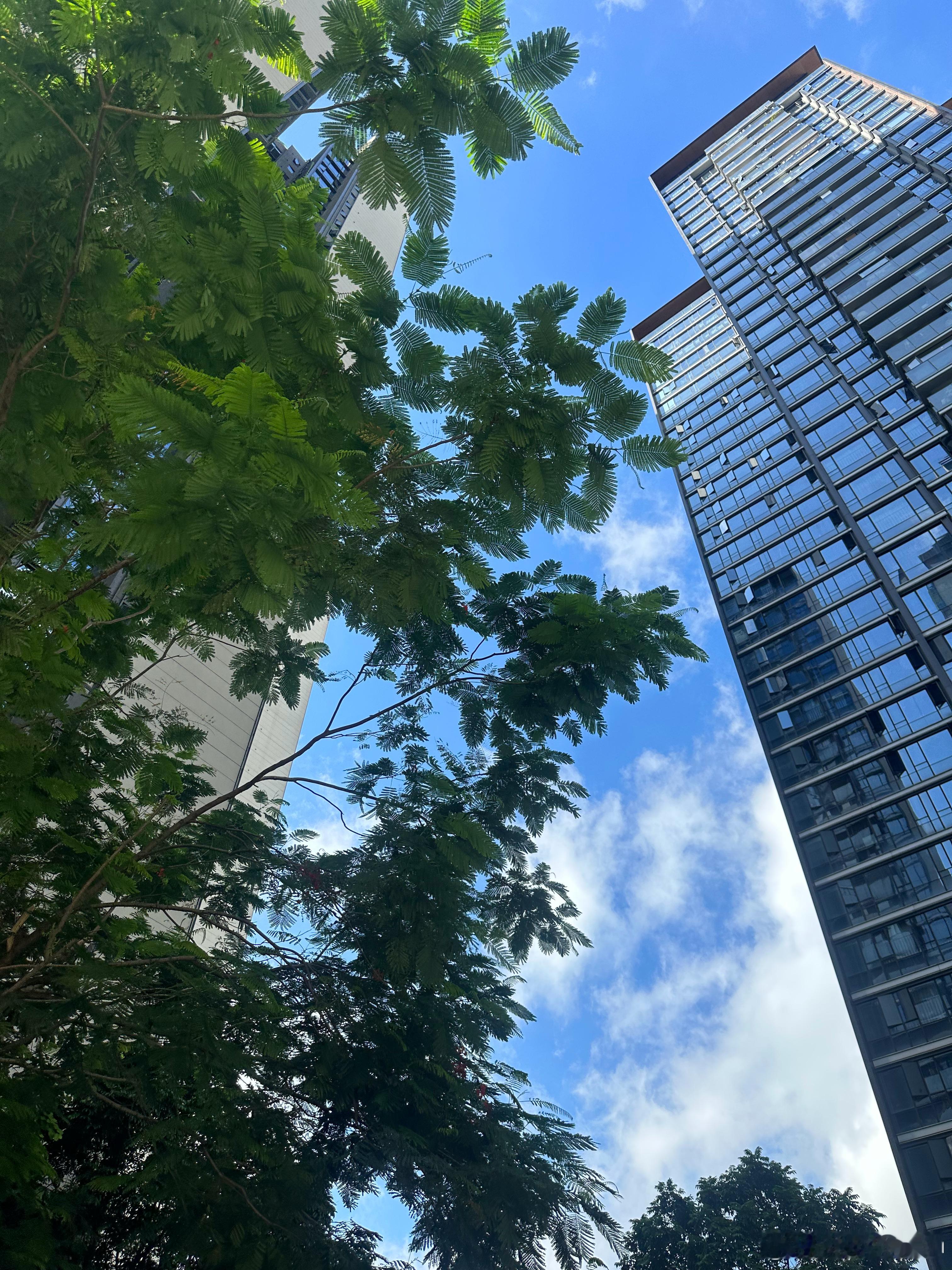 晨光出现，万物苏醒，再忙碌也要留一份安静，不纠结过去，不担心未来，专注当下，就是